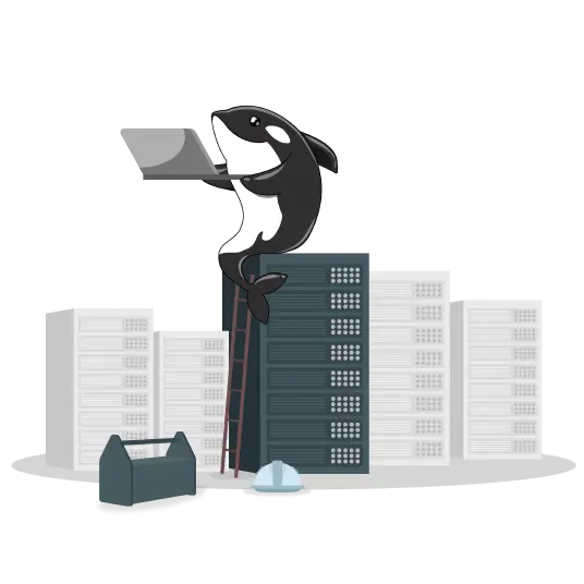 Orca_Many-servers-1